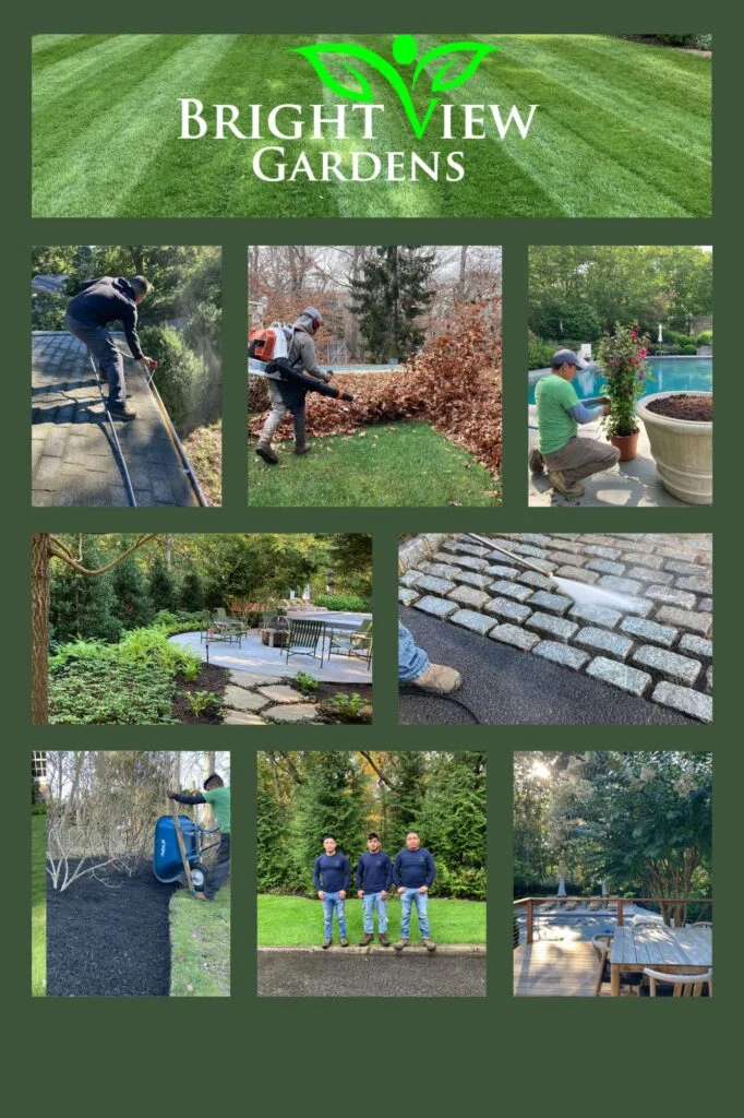 Trust us to care for your outdoor space with passion and professionalism, providing you with a green oasis throughout the year.